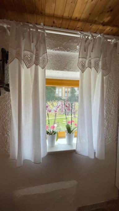 Charmantes Cottage Appartement Pottelsdorf Εξωτερικό φωτογραφία