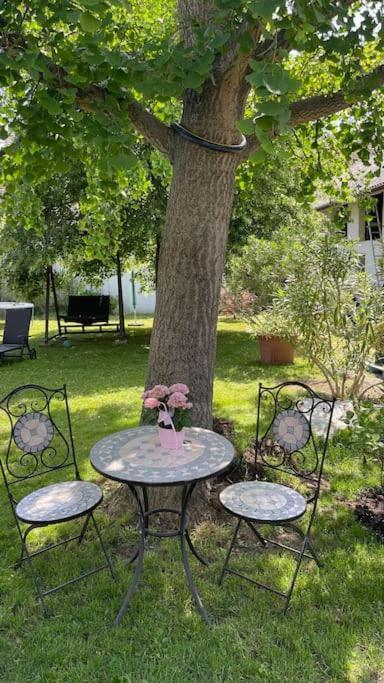 Charmantes Cottage Appartement Pottelsdorf Εξωτερικό φωτογραφία