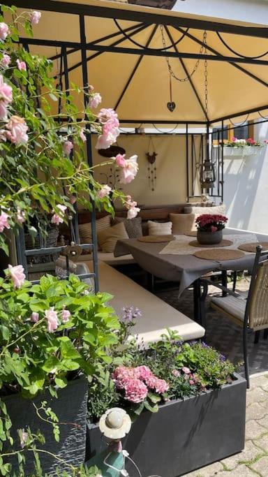 Charmantes Cottage Appartement Pottelsdorf Εξωτερικό φωτογραφία
