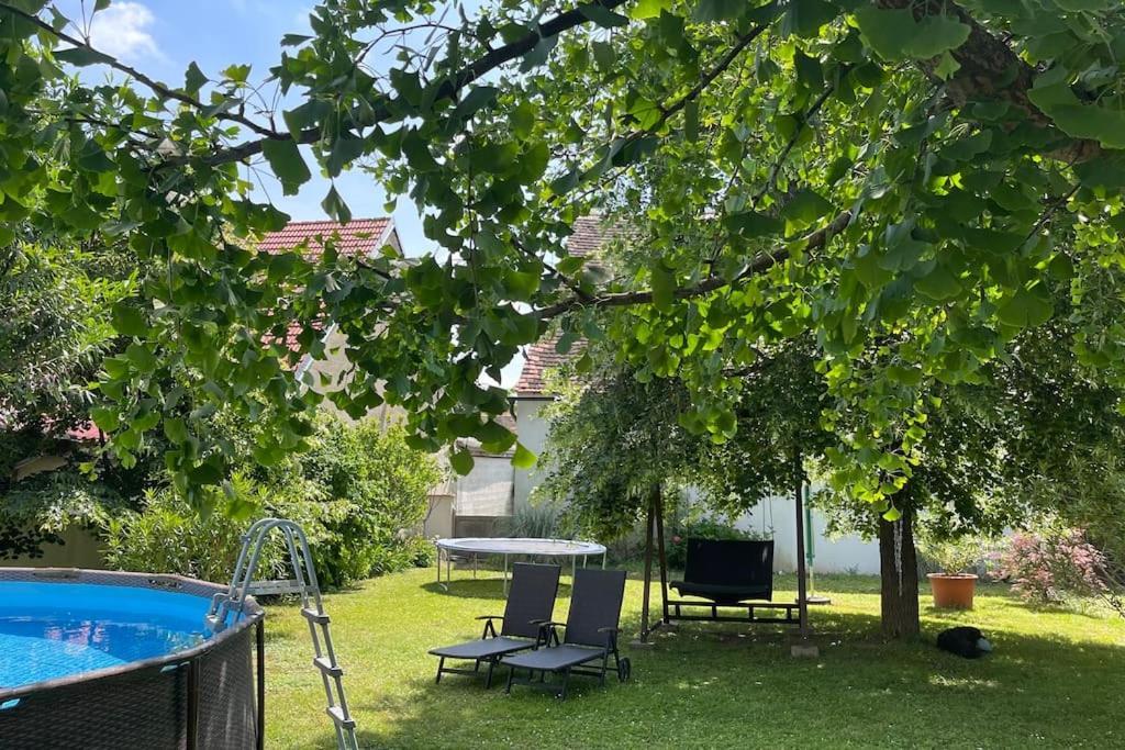 Charmantes Cottage Appartement Pottelsdorf Εξωτερικό φωτογραφία